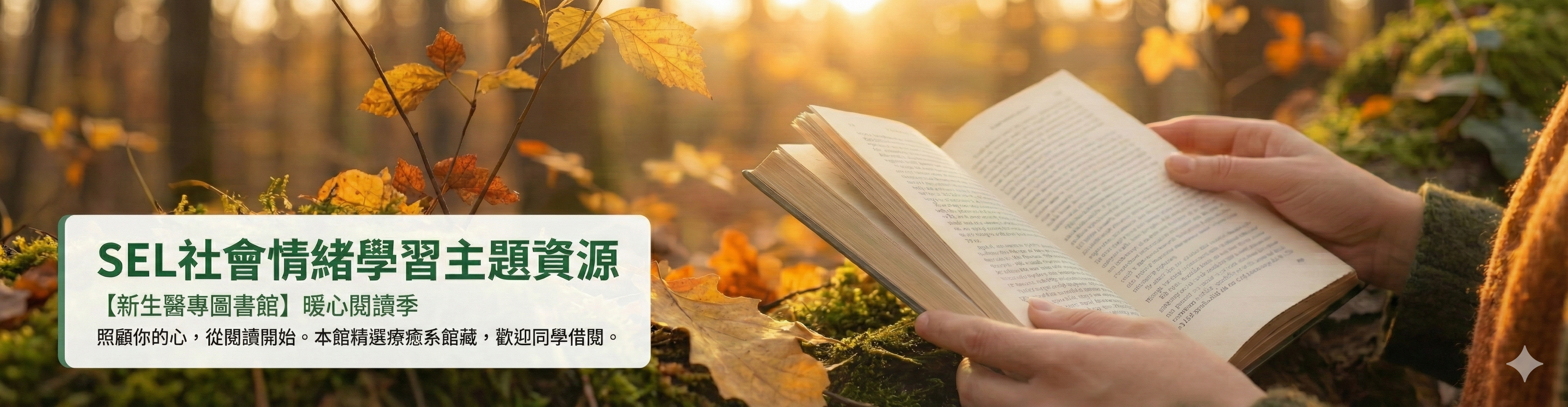 SEL社會情緒學習主題資源